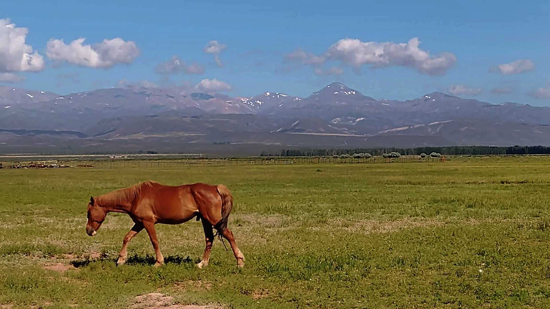 La naturaleza de los terrenos de Agua Pampa