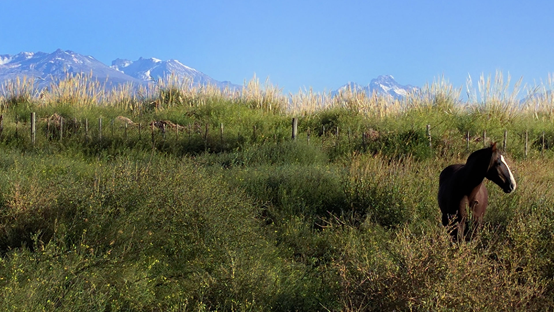 Terrenos sustentables de AguaPampa en Malargüe, Mendoza
