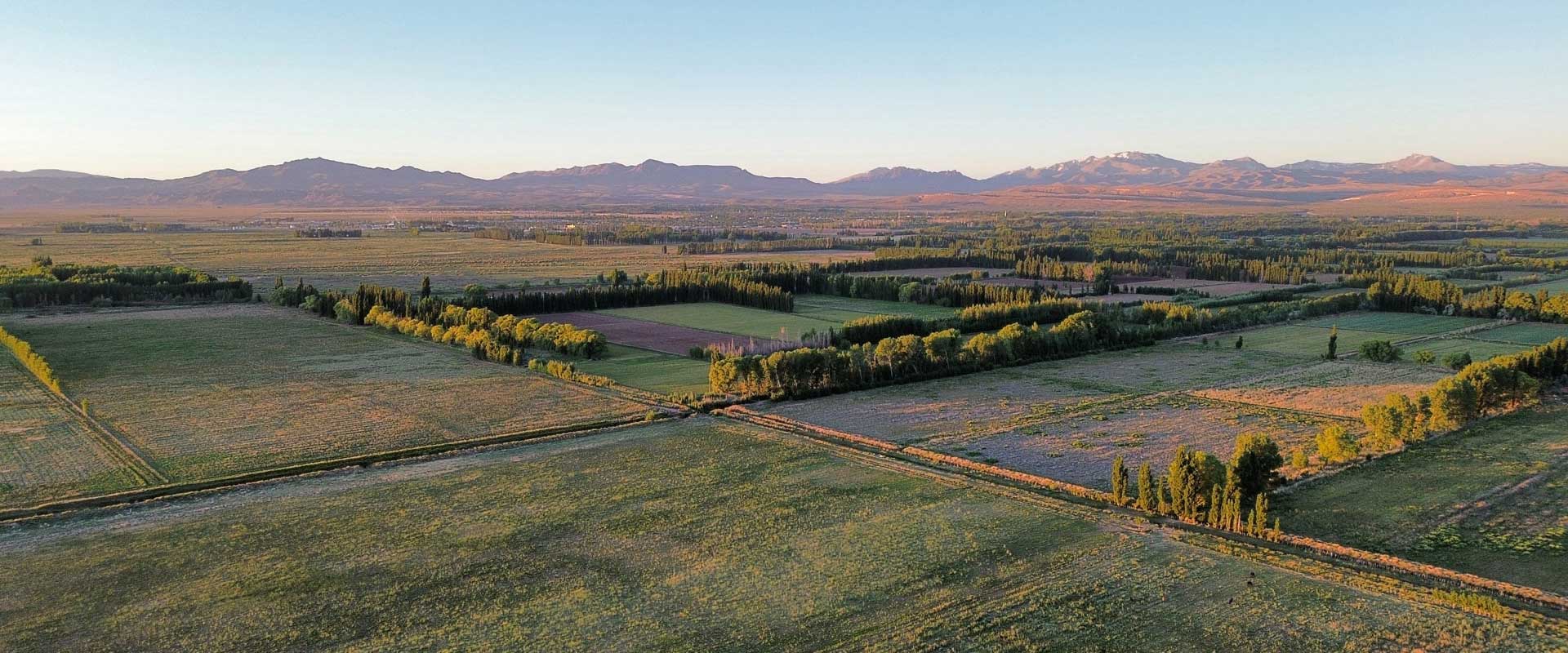 Terrenos de una hectárea en Malargüe
